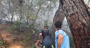 Lara'daki orman yangını kontrol altına alındı