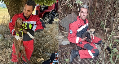 Muğla Büyükşehir İtfaiyesinden Hayvan Kurtarma Operasyonu
