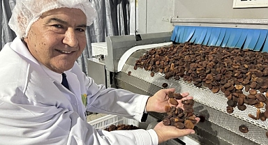 Muhteşem üçlü kuru üzüm, kuru kayısı ve kuru incirin ihracatı 1 milyar doları aştı