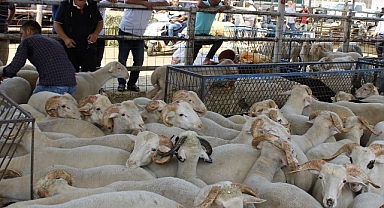 Ödemiş Belediyesi Kurban Bayramına Hazırlanıyor