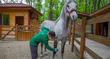 Ormanya bayramda ziyaretçilerini bekliyor