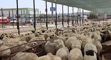 Selçuklu Belediyesi vatandaşların Kurban Bayramı’nı rahat ve huzurlu bir şekilde geçirmesi için tüm hazırlıkları tamamladı
