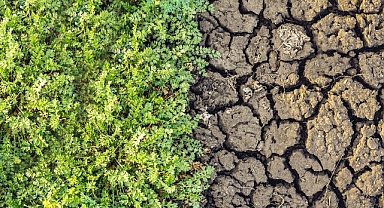 TEMA Vakfı’ndan Toprak İçin Bir Olma Çağrısı: 
