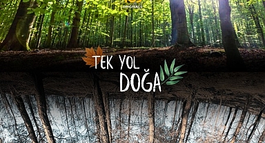 TOD’da Haziranda Yaz Şenliği Var!