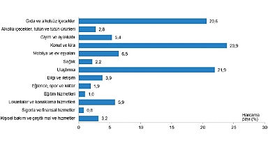 Tüik: Hanehalkı bütçesinden en fazla pay konut ve kira harcamalarına ayrıldı