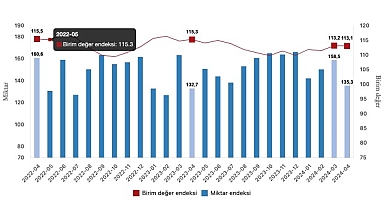 Tüik: İhracat birim değer endeksi %1,9 azaldı