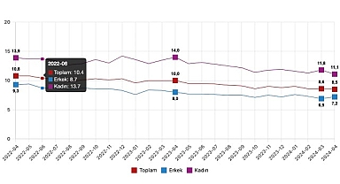 Tüik: Mevsim etkisinden arındırılmış işsizlik oranı %8,5 seviyesinde gerçekleşti