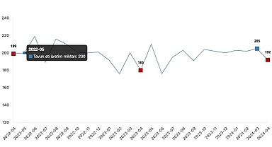 Tüik: Tavuk eti üretimi 192 bin 386 ton, tavuk yumurtası üretimi 1,71 milyar adet olarak gerçekleşti