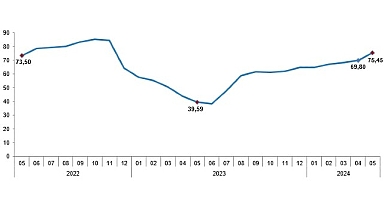 Tüik: Tüketici fiyat endeksi (TÜFE) yıllık %75,45, aylık %3,37 arttı