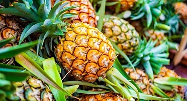 2024 yılının ilk yarısında tropikal meyve ihracatı 11 milyon dolara ulaştı