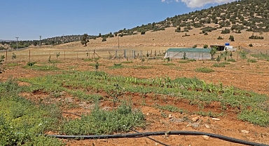 Antalya Büyükşehir Belediyesi arıtma suyunu tarımda kullandı