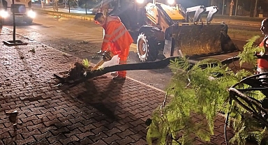 Antalya Büyükşehir'den hızlı müdahale