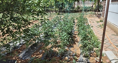 ASAT Genel Müdürlüğü yaylalarda denetimlerini arttırdı