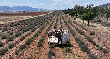 Başkan Altay: “Lavanta Desteğiyle Hem Bölge Turizmine Hem de Çiftçimize Katkı Sağladık”