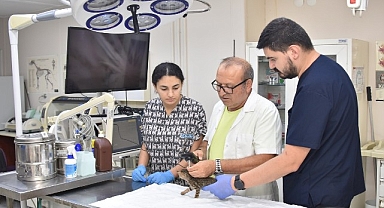 Başkan Yiğit: “Öldürme yasasına karşıyız”