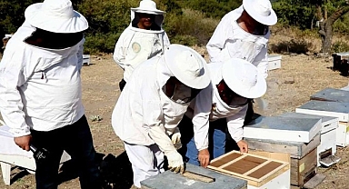Bayraklı Belediyesinden yerel üreticiye kurs desteği ‘Arıcılık ve bal üretimi kursu’ başlıyor