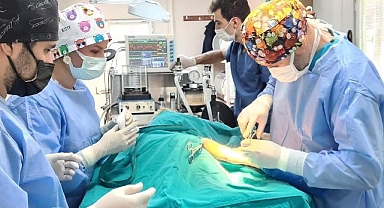 En fazla sokak hayvanını Osmangazi Belediyesi kısırlaştırdı