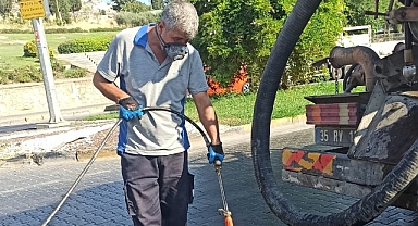 İzmir Büyükşehir Belediyesi ekipleri haşereyle mücadelede Efes Selçuk’ta etkin çalışmalar yürütüyor