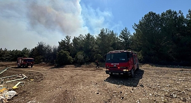 İzmir İtfaiyesi 4 ilçede yangınlara müdahale ediyor