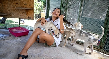 Karşıyaka’da can dostlar yeni yuvalarına kavuştu 