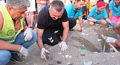 Kemer’de son 30 yılın caretta caretta rekoru bekleniyor