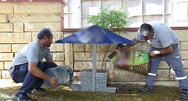 Küçükçekmece Belediyesi, yaz günlerinde sokak hayvanlarının sıcak hava dalgalarından etkilenmemesi için tüm imkânlarını seferber ediyor