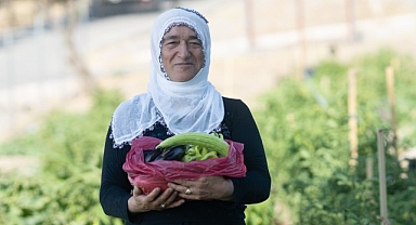 Mahalle bostanında hasat zamanı