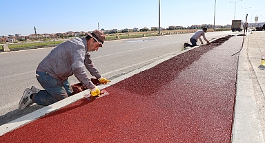Sağlıklı yol projesi kapsamında Şehit Hamza Çetin Bulvarı ve Şehit Fethi Sekin Bulvarı’na yapılan yürüyüş yolunda çalışmalar devam ediyor
