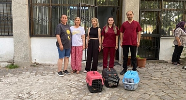 Salihli Belediyesi Sokaktaki Kedilerin Sağlığına Destek