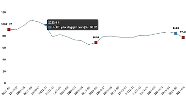 Tüik: Hizmet Üretici Fiyat Endeksi (H-ÜFE) yıllık %77,41 arttı, aylık %5,30 arttı