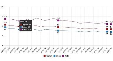 Tüik: Mevsim etkisinden arındırılmış işsizlik oranı %8,4 seviyesinde gerçekleşti