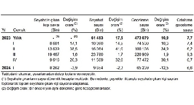 Tüik: Yurt içinde ikamet eden 8 milyon 262 bin kişi seyahate çıktı