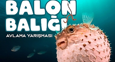 Antalya Büyükşehir Belediyesi'nden Balon Balığı Avlama Yarışması