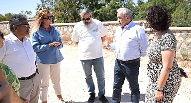 Başkan Şadi Özdemir sokak hayvanları için hazırlanan projeyi inceledi