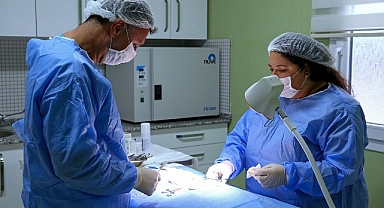 Buca Belediyesi’nden ücretsiz çip takma ve kısırlaştırma uygulaması