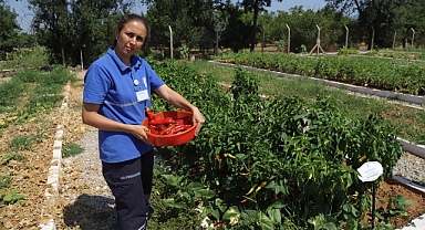 Büyükşehir 2025 Yerel Tohum Dağıtımı Hazırlıklarına Başladı 