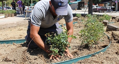  Büyükşehir'den ilçelerde peyzaj çalışması