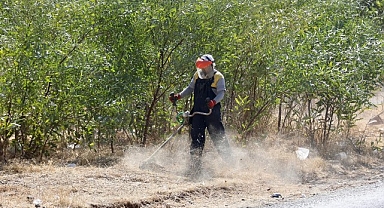 Didim Belediyesi ekipleri ilçenin göz bebeği olan Akbük Mahallesi’nde çalışmalarına ara vermeden devam ediyor.