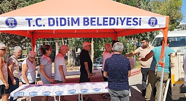 Didim Belediyesi, kendisine ait Akköy Mahallesi’nde yetiştirmiş olduğu ürünleri, vatandaşlara dağıtmaya devam ediyor.