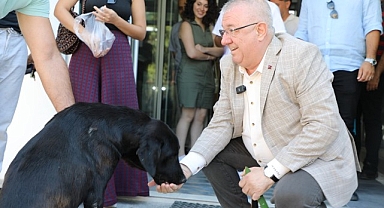 Edremit Belediye Başkanı Mehmet Ertaş sokak köpeğini sahiplendi
