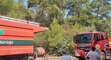 Göynük’te korkutan yangın