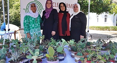 Hem tohumlar hem kadınlar güçleniyor