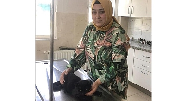 İnegöl Belediyesi Veteriner İşleri Müdürlüğü 266 Can Dostu Yeni Yuvasına Kavuştu