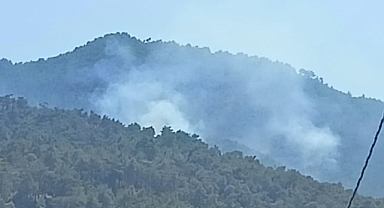 İtfaiye ekipleri, Kemalpaşa yangınına müdahale ediyor