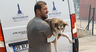 İzmir Büyükşehir Belediyesi’nin tüm birimleri yangında seferber oldu