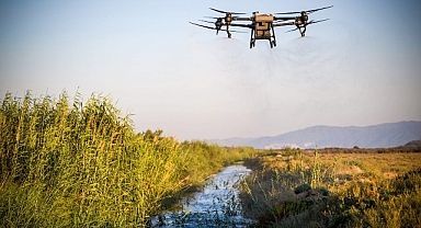 İzmir’de sivrisinekle havadan ve karadan mücadele sürüyor