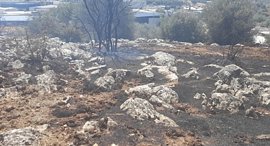 İzmir’de yangın fabrikalara ulaşmadan kontrol altına alındı
