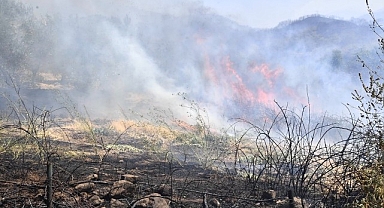 İzmir Yamanlar Dağı’nda çıkan yangınla mücadele sürüyor