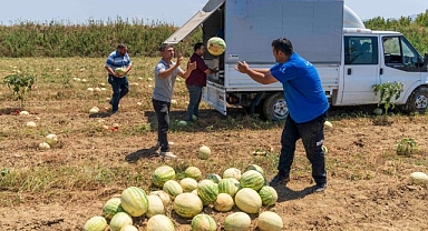 İzmirli çiftçi tarlada kalan karpuzunu hayvanlara bağışladı