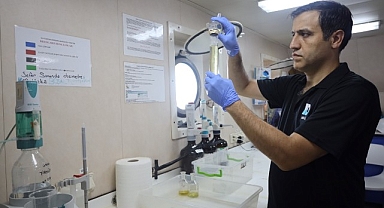 İzmit Körfezi'nde deniz ekosistemi hayat buluyor